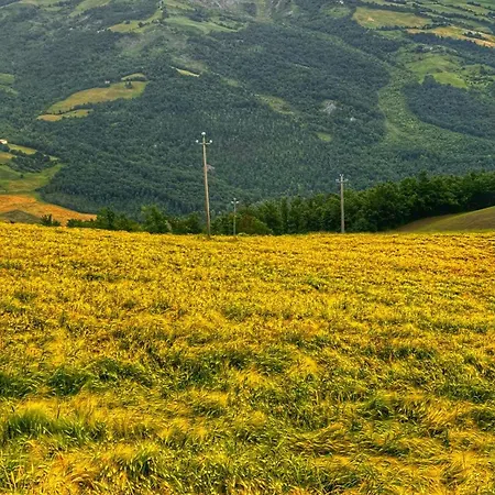 Bed and Breakfast Albachiara Casine (Modena)