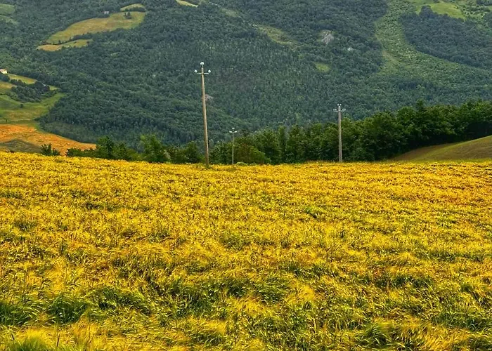 Bed & Breakfast Albachiara Casine (Modena)